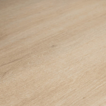 Shampooing Purifiant